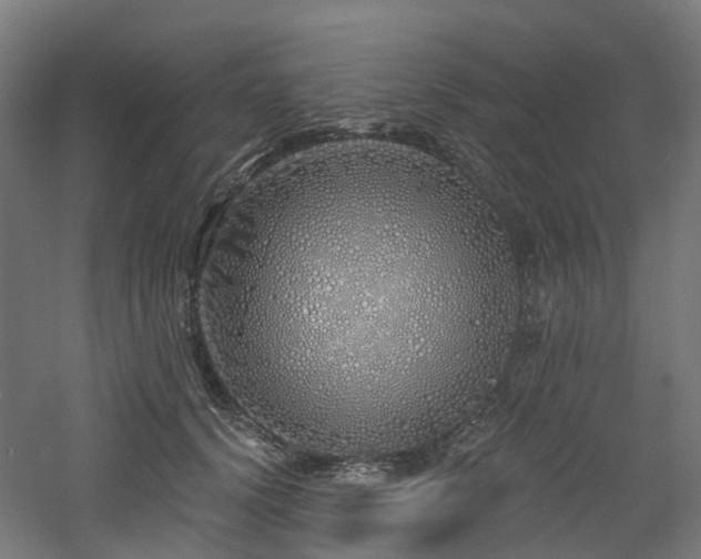 X0000060760656200511101141