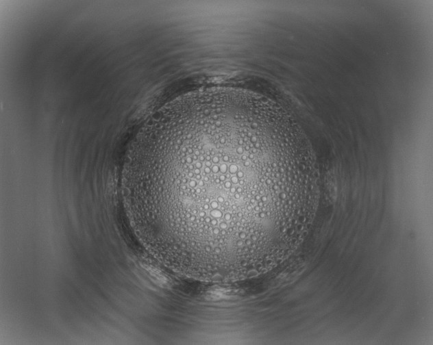 X0000060760657200511101141