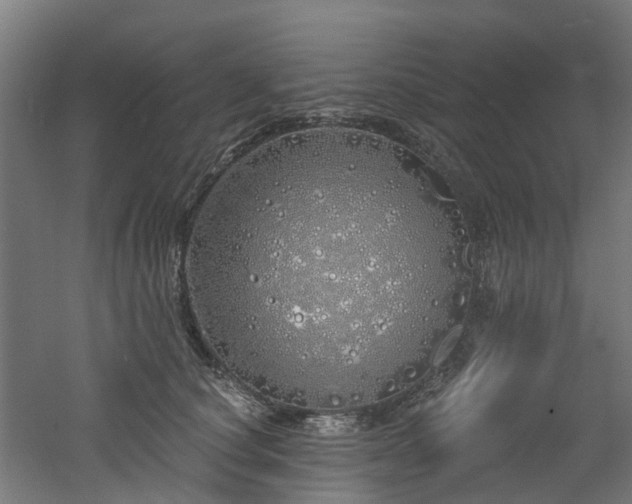 X0000060760660200511101141