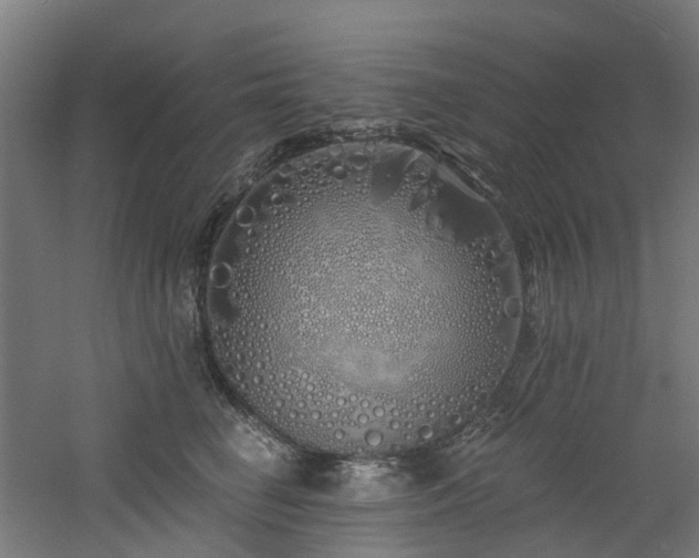 X0000060760662200511101141