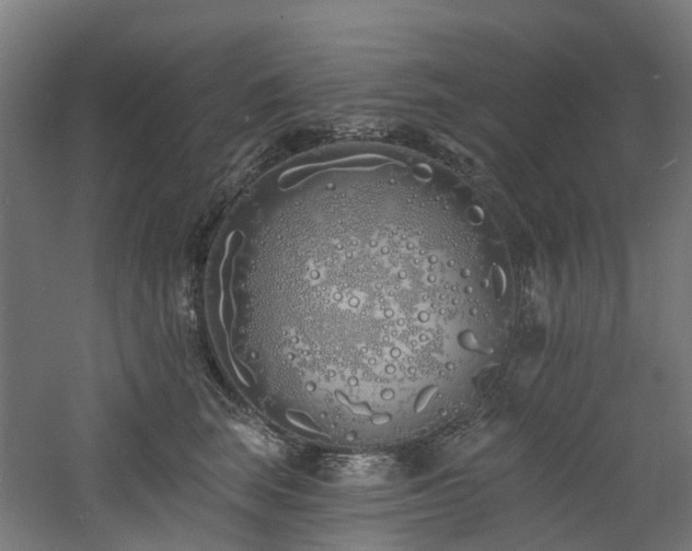 X0000060760663200511101141