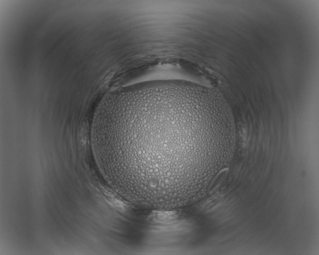 X0000060760665200511101141