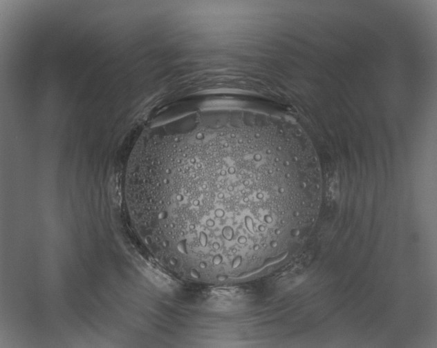 X0000060760666200511101141