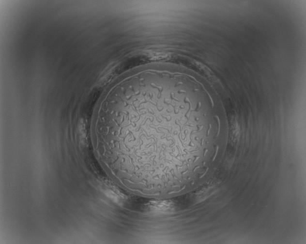 X0000060760667200511101141