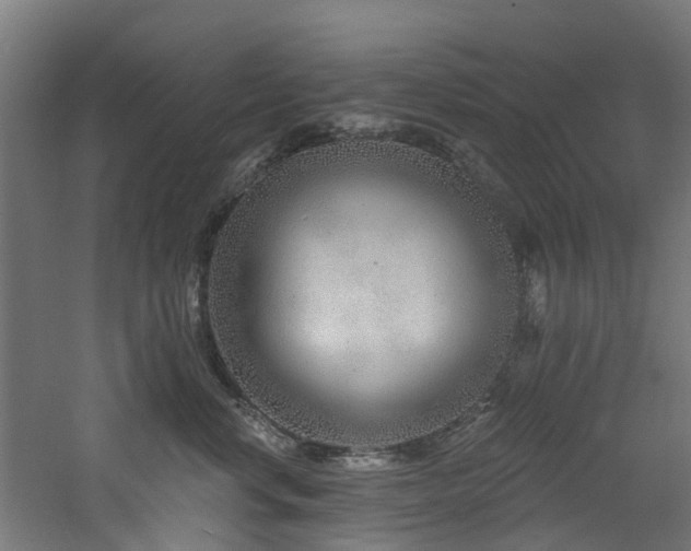 X0000060760668200511101141