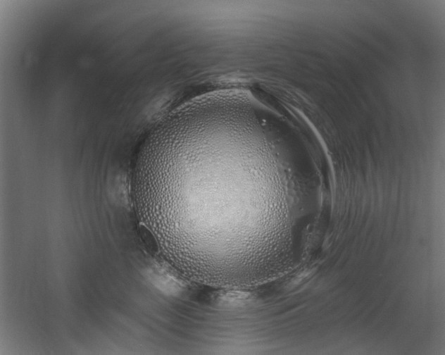 X0000060760669200511101141