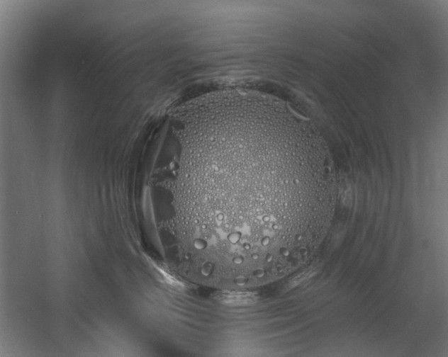 X0000060760670200511101141