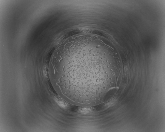 X0000060760671200511101141