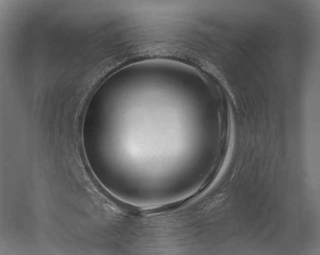 X0000060760673200511101141