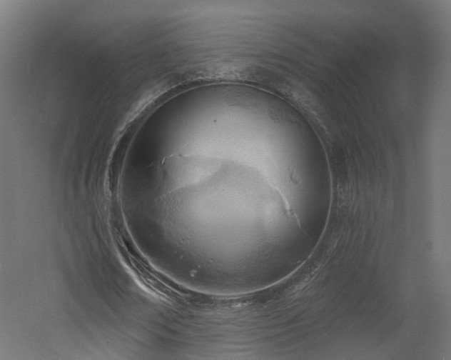 X0000060760674200511101141