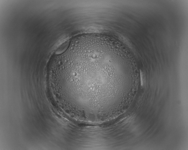 X0000060760675200511101141