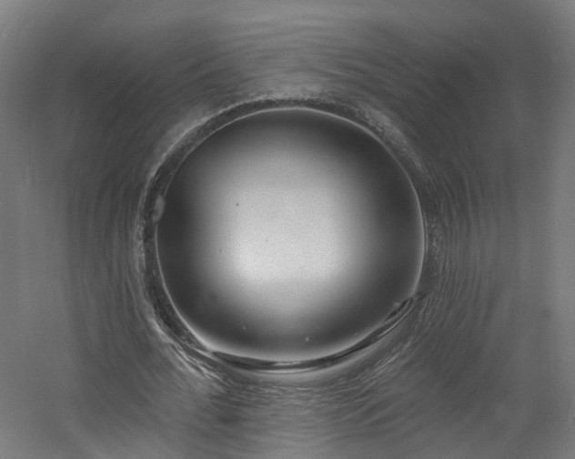 X0000060760676200511101141