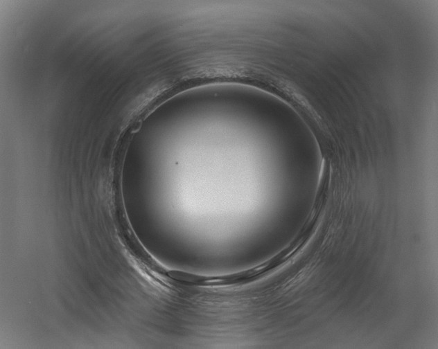 X0000060760677200511101141