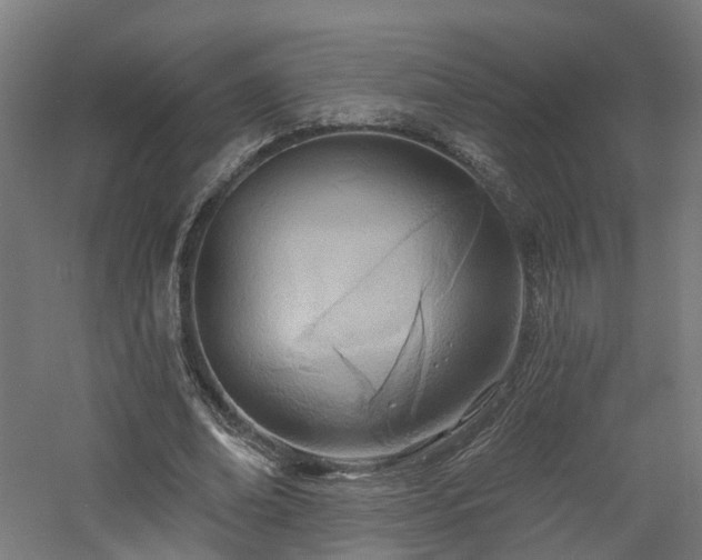 X0000060760678200511101141