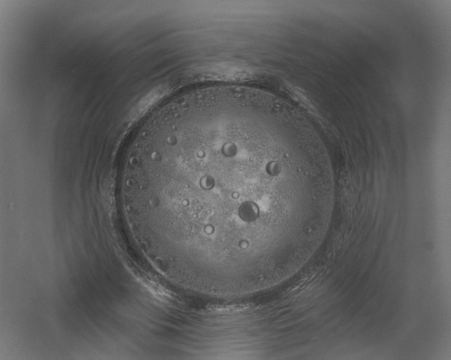 X0000060760679200511101141