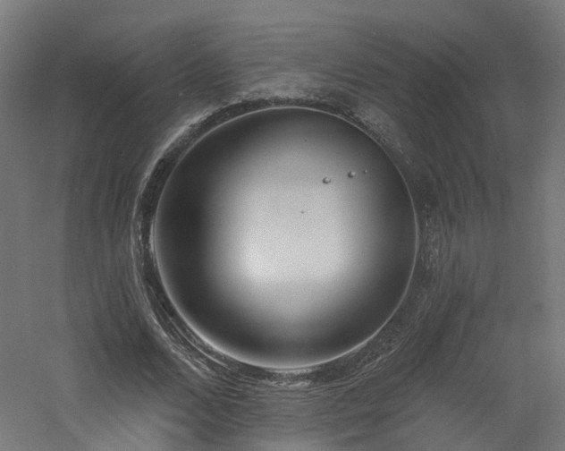 X0000060760680200511101141