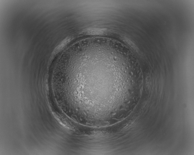 X0000060760682200511101141