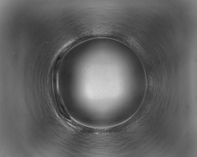 X0000060760684200511101141