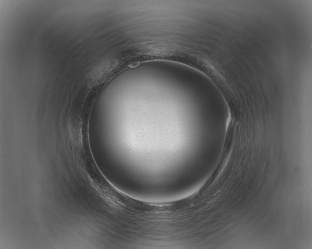 X0000060760685200511101140