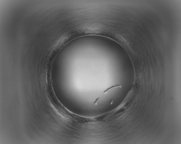 X0000060760686200511101140