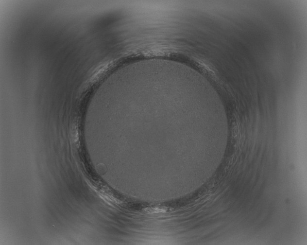 X0000060760687200511101140