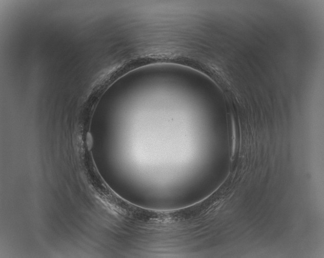 X0000060760688200511101140