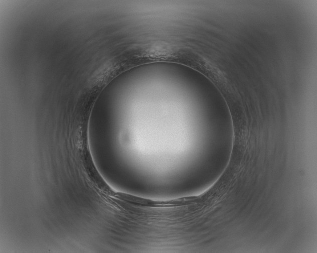 X0000060760689200511101140