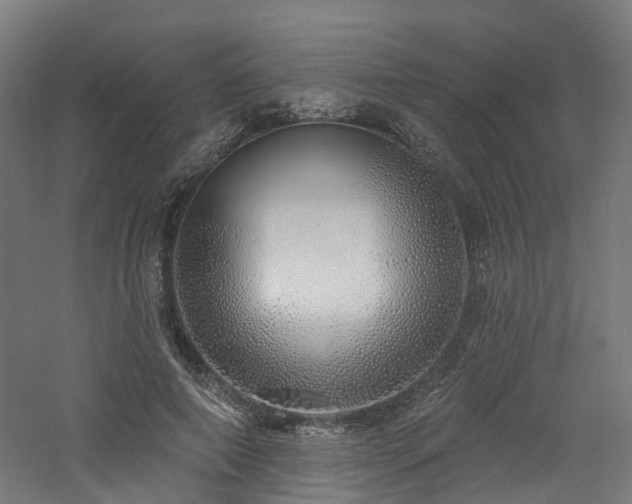 X0000060760690200511101140