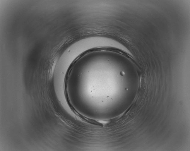 X0000060760691200511101140