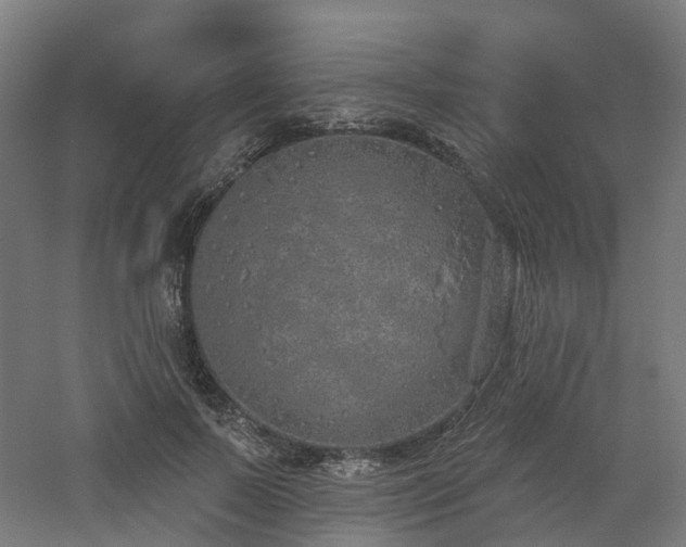 X0000060760695200511101140