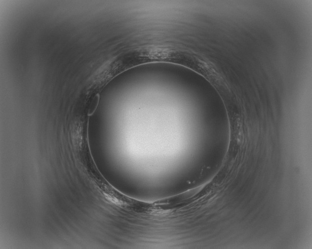 X0000060760697200511101140