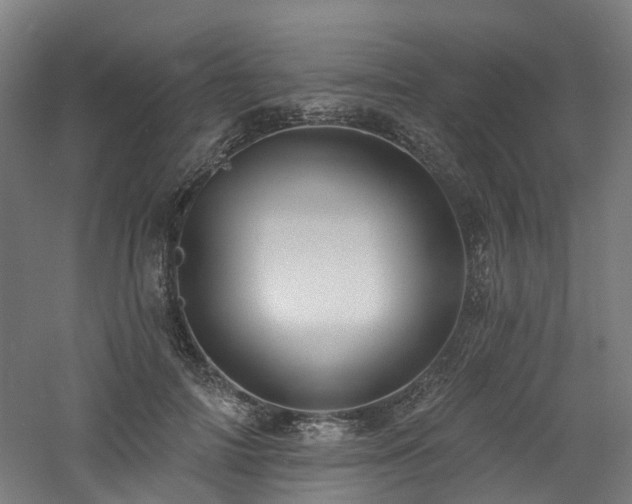 X0000060760698200511101140