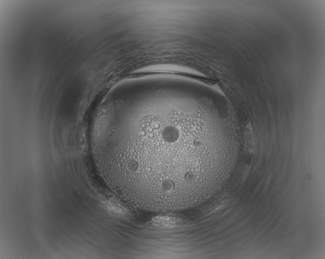 X0000060760699200511101140