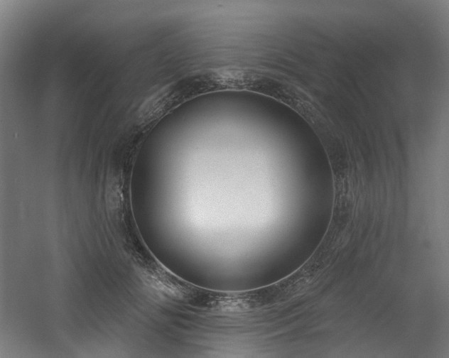 X0000060760702200511101140