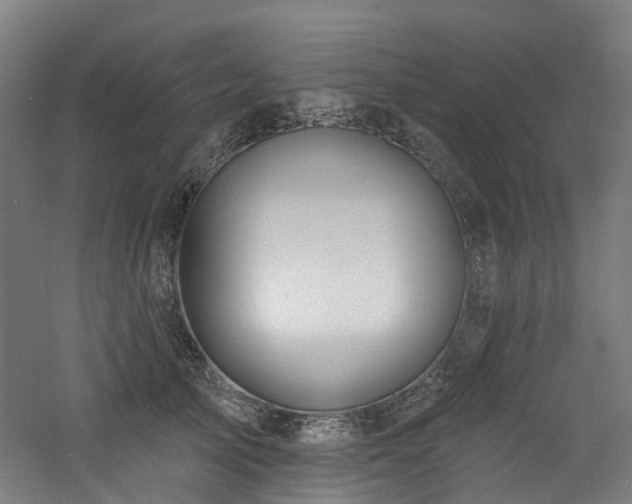 X0000060760705200511101140