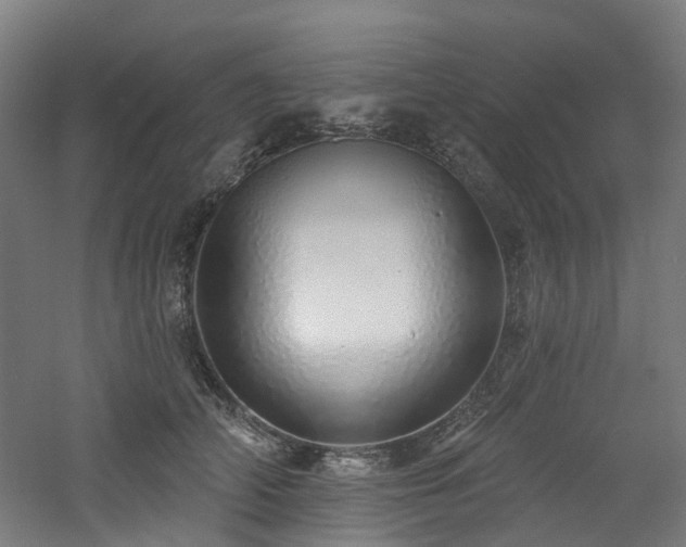 X0000060760706200511101140