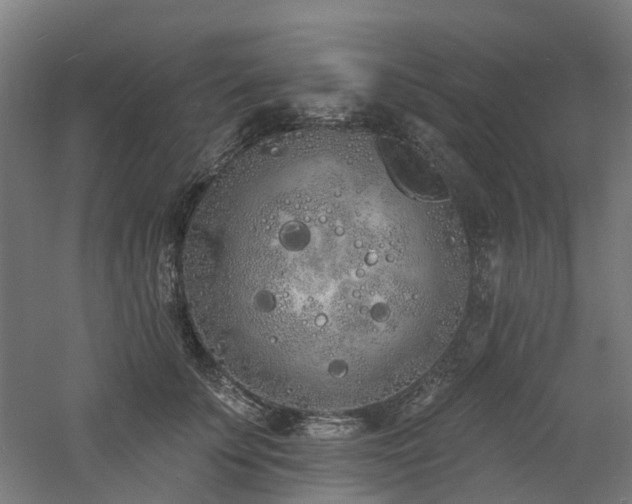 X0000060760707200511101140