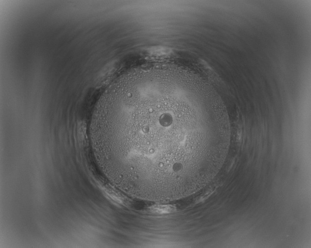 X0000060760711200511101140