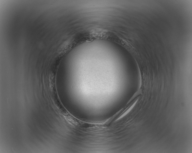 X0000060760712200511101140