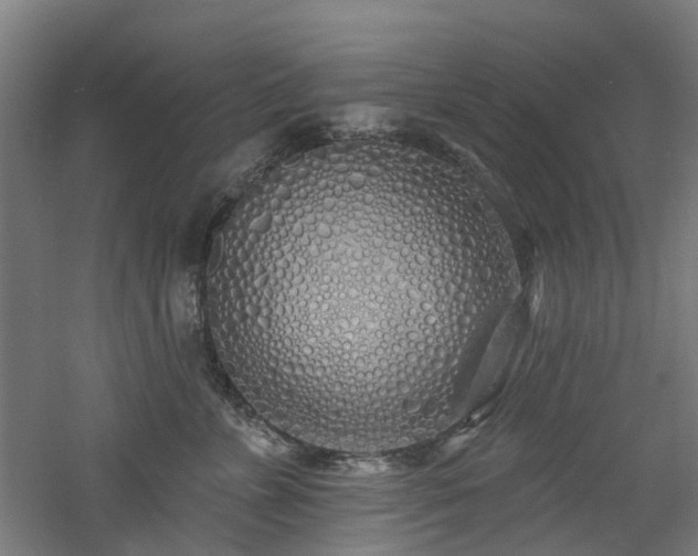 X0000060760715200511101140