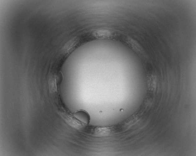 X0000060760717200511101140