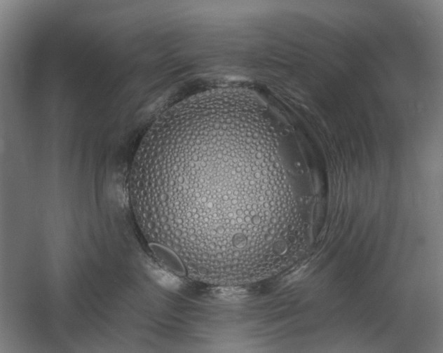 X0000060760719200511101140