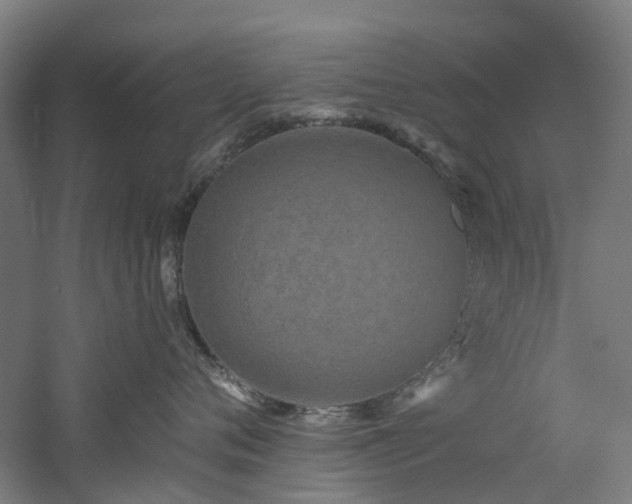 X0000060760720200511101140