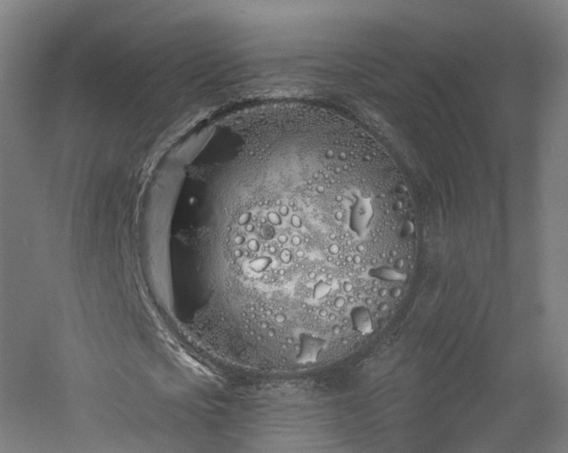 X0000060760721200511101139