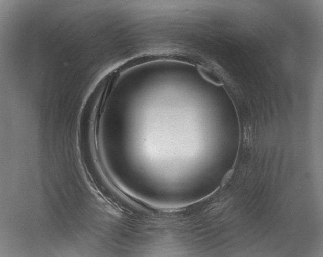 X0000060760724200511101139