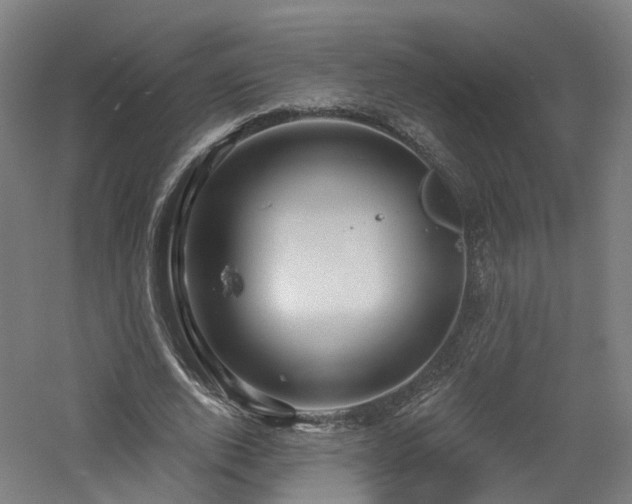 X0000060760728200511101139