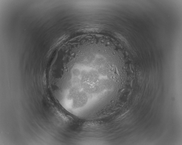 X0000060760729200511101139