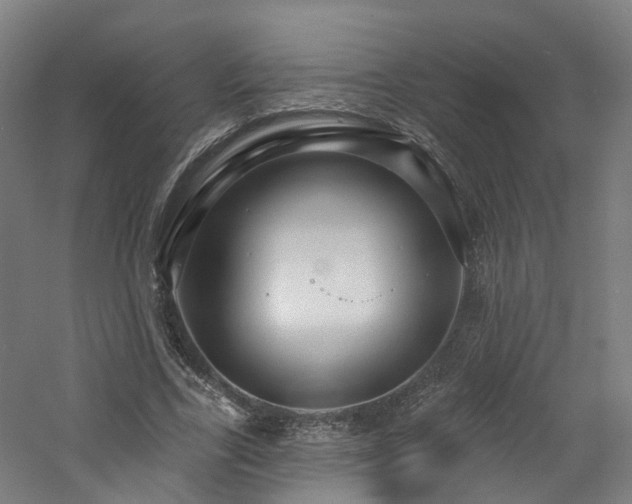 X0000060760731200511101139