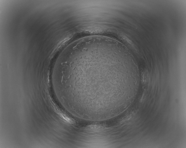 X0000060760733200511101139