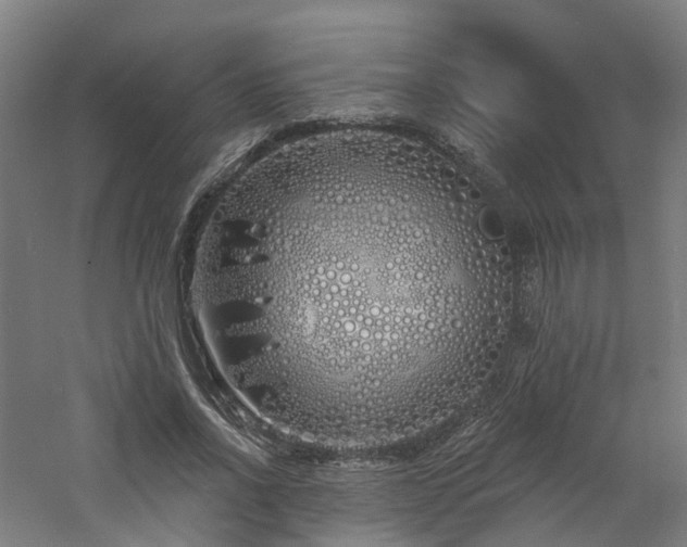 X0000060760734200511101139